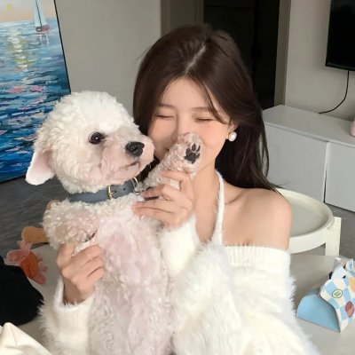 如果历史是一群喵第六季